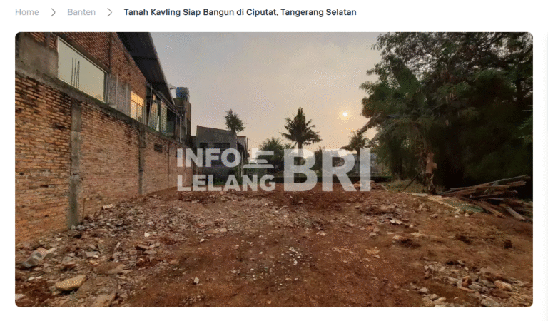 Tangkapan layar web info lelang BRI