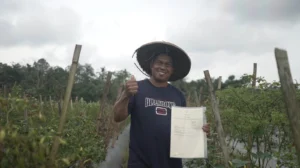 Petani garap tanah telantar yang sudah jadi objek reforma agraria